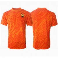 Maglia Calcio Francia Portiere Seconda Divisa Europei 2024 Manica Corta